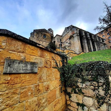 Apartamento Medieval En El Camino De Santiago Estella Eksteriør billede