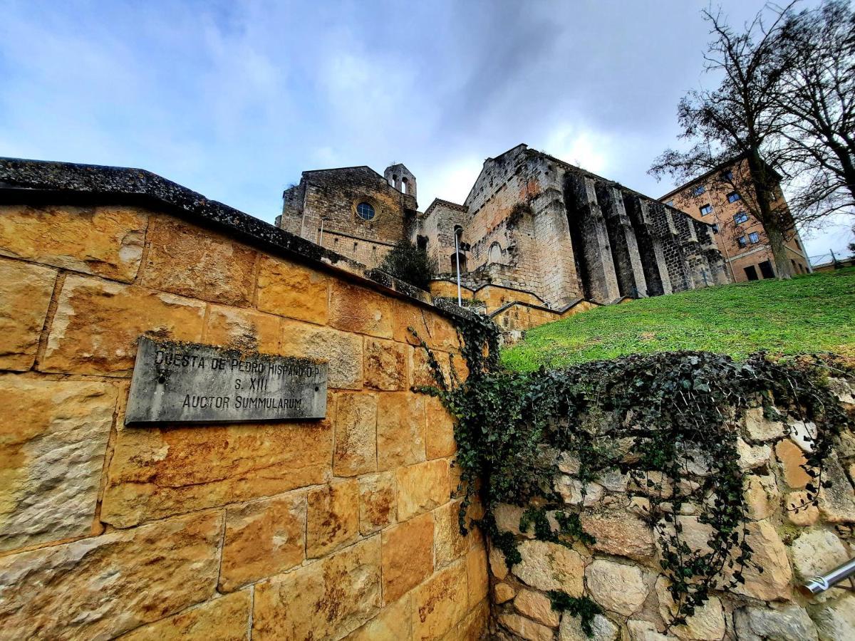 Apartamento Medieval En El Camino De Santiago Estella Eksteriør billede